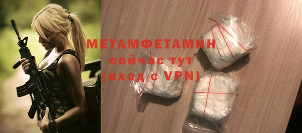 прущие грибы Верея