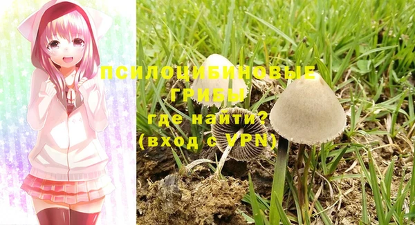 тгк Вязьма